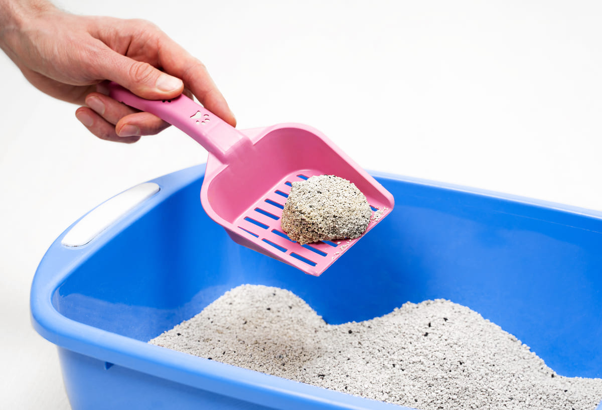 Natural Kitty Litter